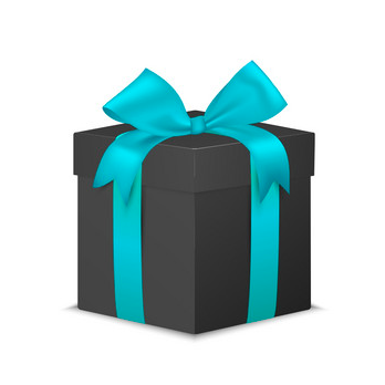 ninkasi-pin-gift-box.png